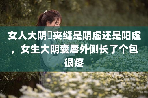 女人大阴脣夹缝是阴虚还是阳虚，女生大阴囊唇外侧长了个包很疼