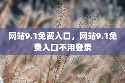 网站9.1免费入口，网站9.1免费入口不用登录