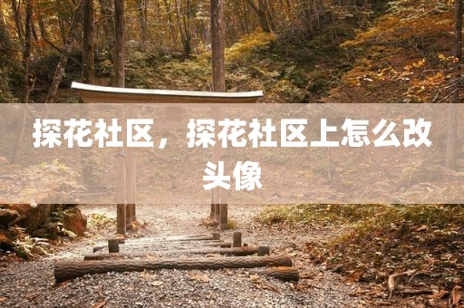 探花社区，探花社区上怎么改头像