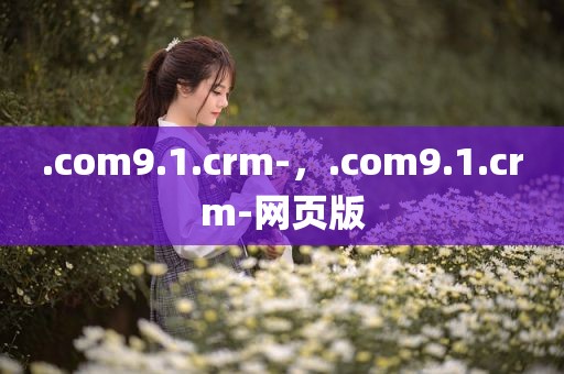 .com9.1.crm-，.com9.1.crm-网页版