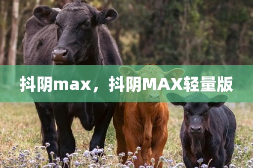 抖阴max，抖阴MAX轻量版