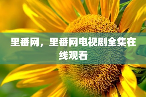 里番网，里番网电视剧全集在线观看