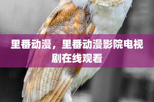 里番动漫，里番动漫影院电视剧在线观看