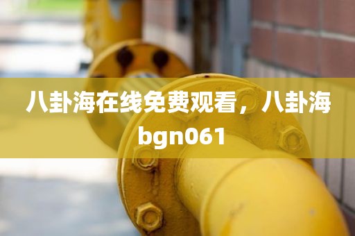 八卦海在线免费观看，八卦海 bgn061