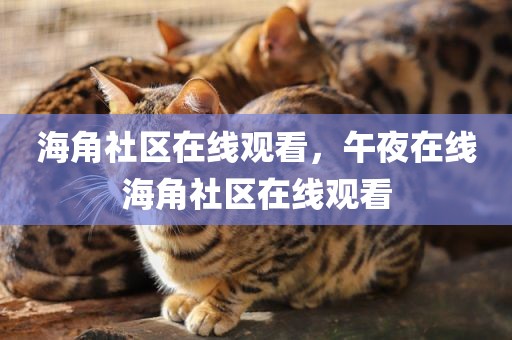 海角社区在线观看，午夜在线海角社区在线观看