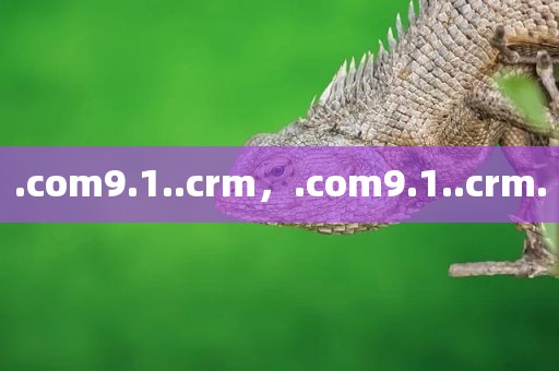 .com9.1..crm，.com9.1..crm.