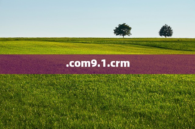 .com9.1.crm