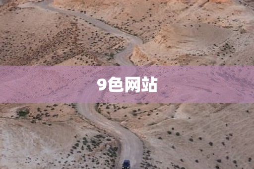 9色网站