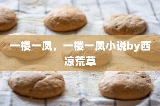 一楼一凤，一楼一凤小说by西凉荒草