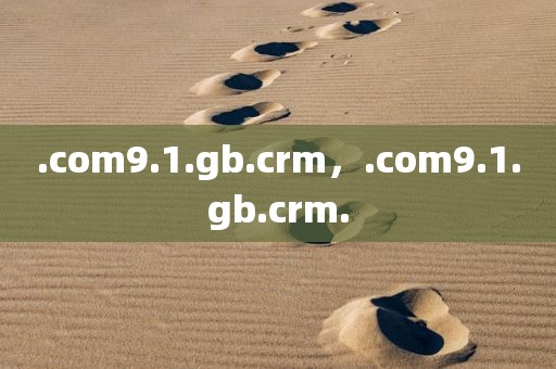 .com9.1.gb.crm，.com9.1.gb.crm.