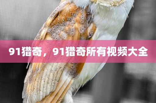 91猎奇，91猎奇所有视频大全