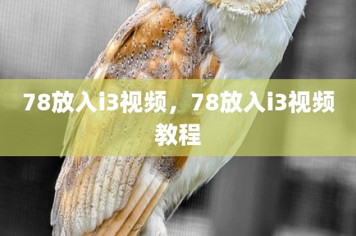 78放入i3视频，78放入i3视频教程