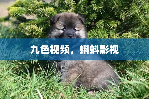 九色视频，蝌蚪影视