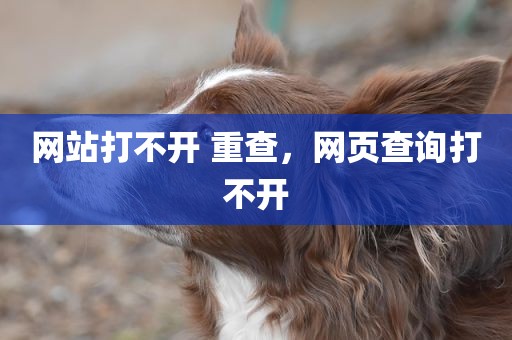网站打不开 重查，网页查询打不开
