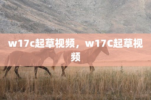 w17c起草视频，w17C起草视频