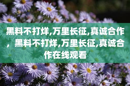 黑料不打烊,万里长征,真诚合作，黑料不打烊,万里长征,真诚合作在线观看