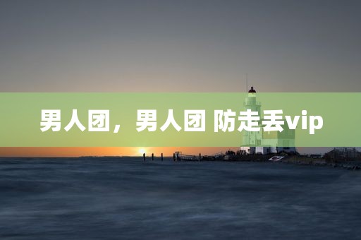 男人团，男人团 防走丢vip