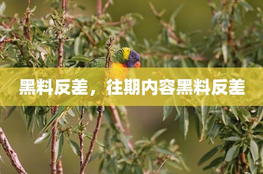 黑料反差，往期内容黑料反差
