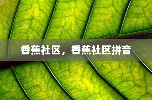 香蕉社区，香蕉社区拼音