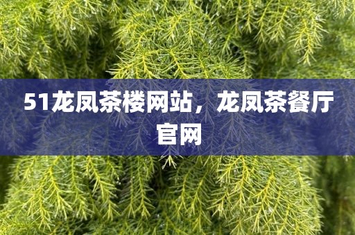 51龙凤茶楼网站，龙凤茶餐厅官网