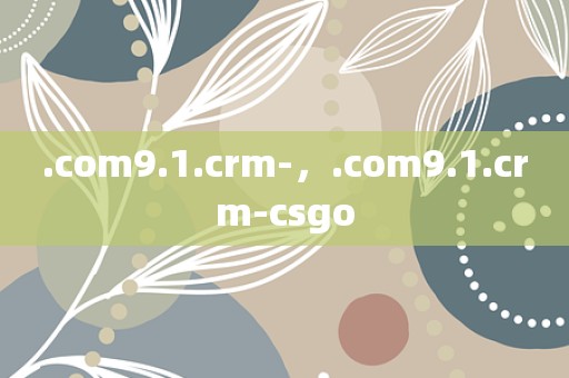 .com9.1.crm-，.com9.1.crm-csgo