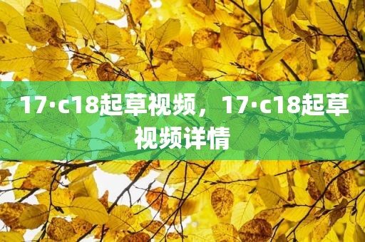 17·c18起草视频，17·c18起草视频详情