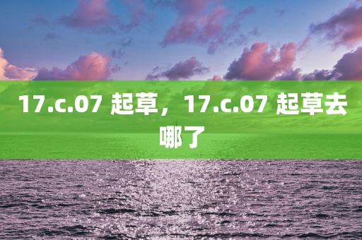 17.c.07 起草，17.c.07 起草去哪了
