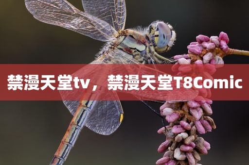 禁漫天堂tv，禁漫天堂T8Comic