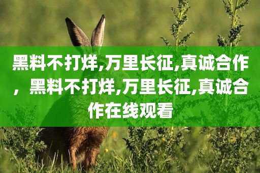 黑料不打烊,万里长征,真诚合作，黑料不打烊,万里长征,真诚合作在线观看
