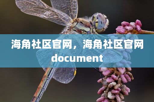 海角社区官网，海角社区官网document