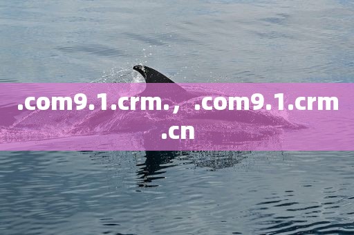 .com9.1.crm.，.com9.1.crm.cn