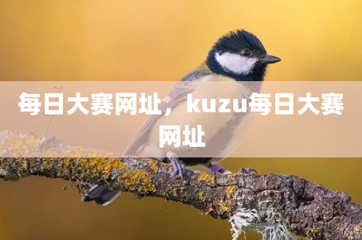 每日大赛网址，kuzu每日大赛网址