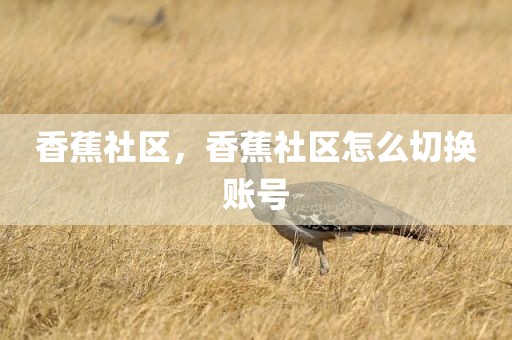 香蕉社区，香蕉社区怎么切换账号