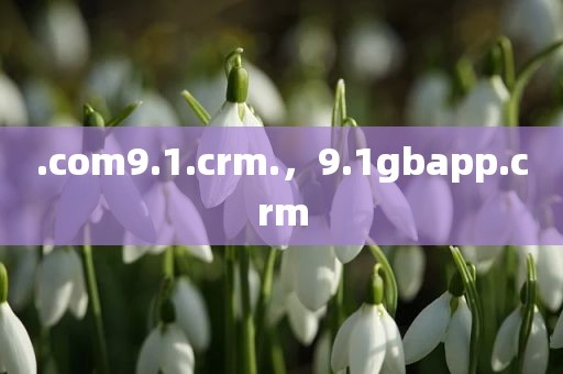 .com9.1.crm.，9.1gbapp.crm