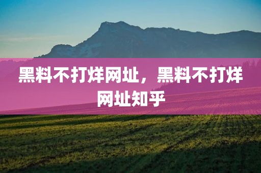 黑料不打烊网址，黑料不打烊网址知乎