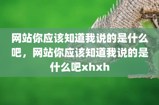 网站你应该知道我说的是什么吧，网站你应该知道我说的是什么吧xhxh