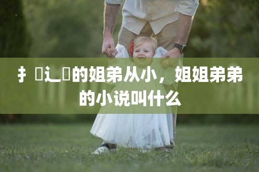 扌臿辶畐的姐弟从小，姐姐弟弟的小说叫什么
