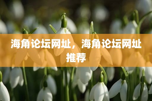 海角论坛网址，海角论坛网址推荐