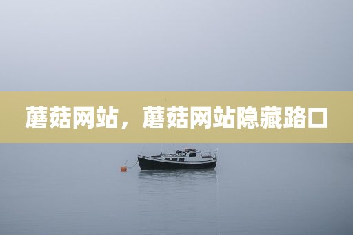 蘑菇网站，蘑菇网站隐藏路口