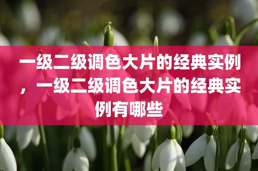 一级二级调色大片的经典实例，一级二级调色大片的经典实例有哪些