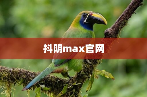 抖阴max官网