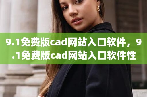 9.1免费版cad网站入口软件，9.1免费版cad网站入口软件性