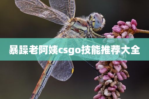暴躁老阿姨csgo技能推荐大全