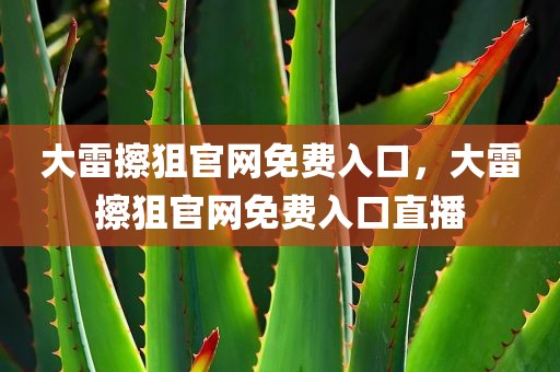 大雷擦狙官网免费入口，大雷擦狙官网免费入口直播