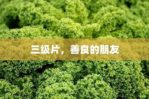 三级片，善良的朋友