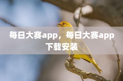 每日大赛app，每日大赛app下载安装