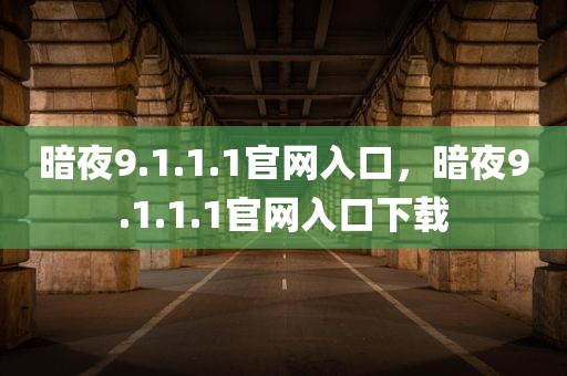 暗夜9.1.1.1官网入口，暗夜9.1.1.1官网入口下载