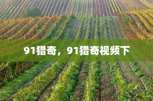 91猎奇，91猎奇视频下