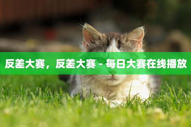 反差大赛，反差大赛 - 每日大赛在线播放