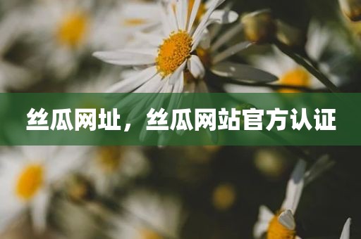 丝瓜网址，丝瓜网站官方认证